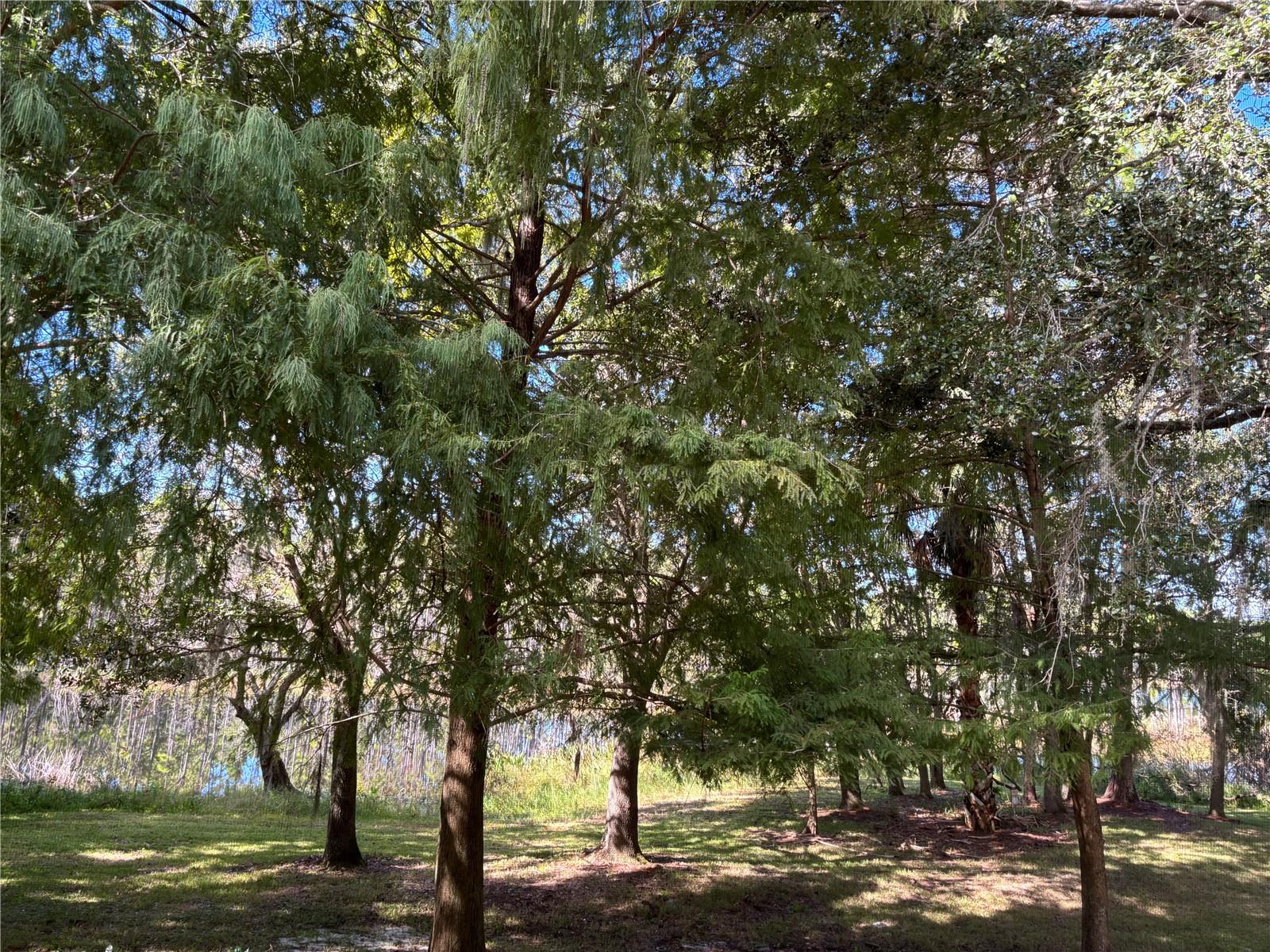 870 VINELAND PL, LAKE MARY, FL, 32746