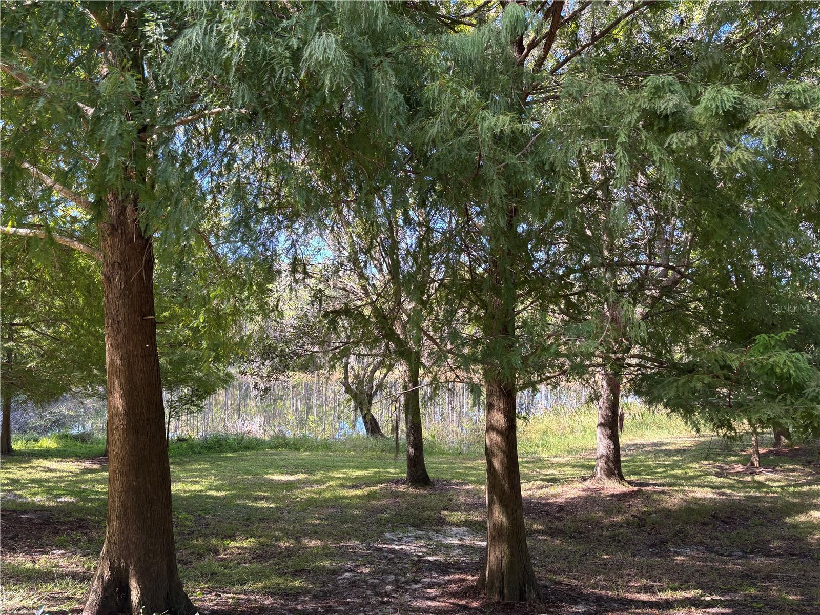 870 VINELAND PL, LAKE MARY, FL, 32746