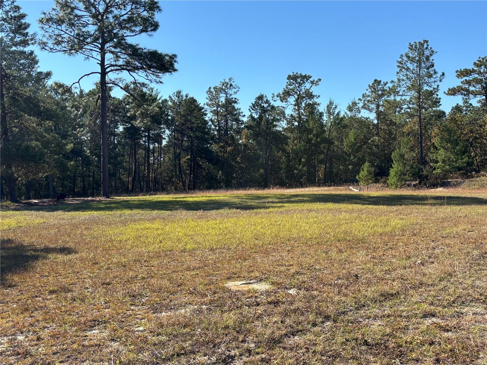 255 MELROSE LANDING BLVD, HAWTHORNE, FL, 32640