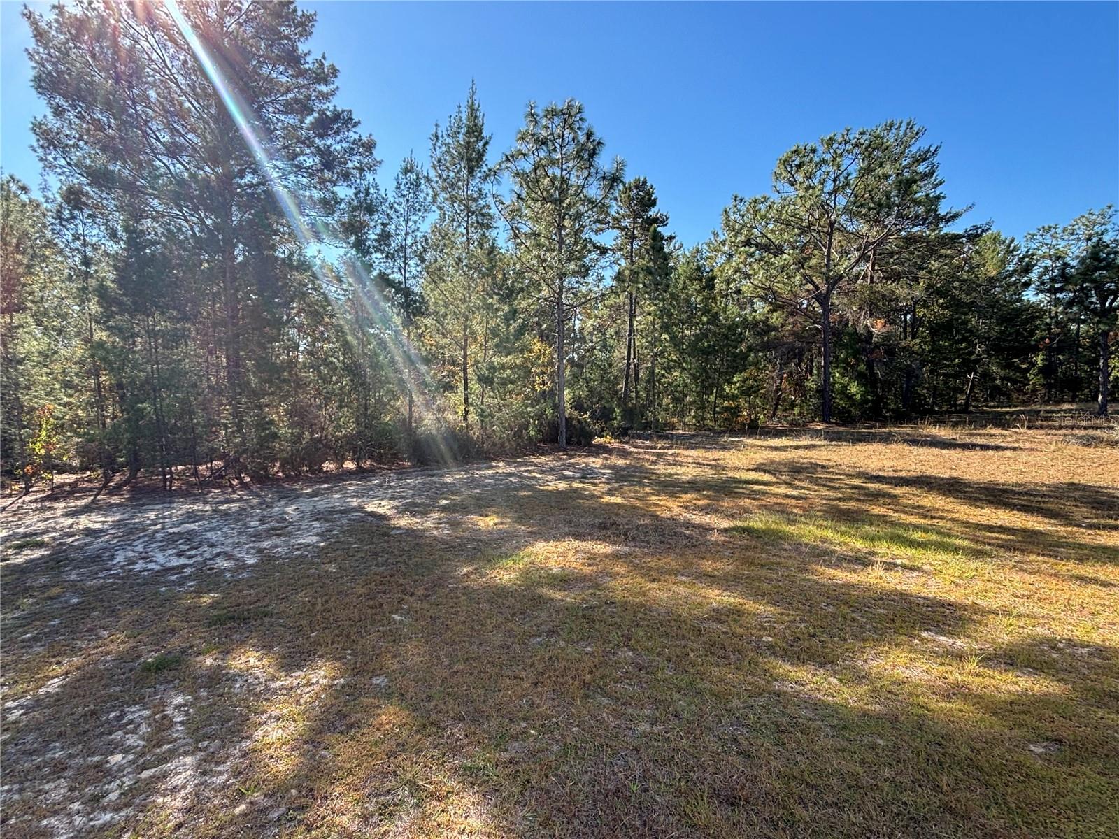 255 MELROSE LANDING BLVD, HAWTHORNE, FL, 32640