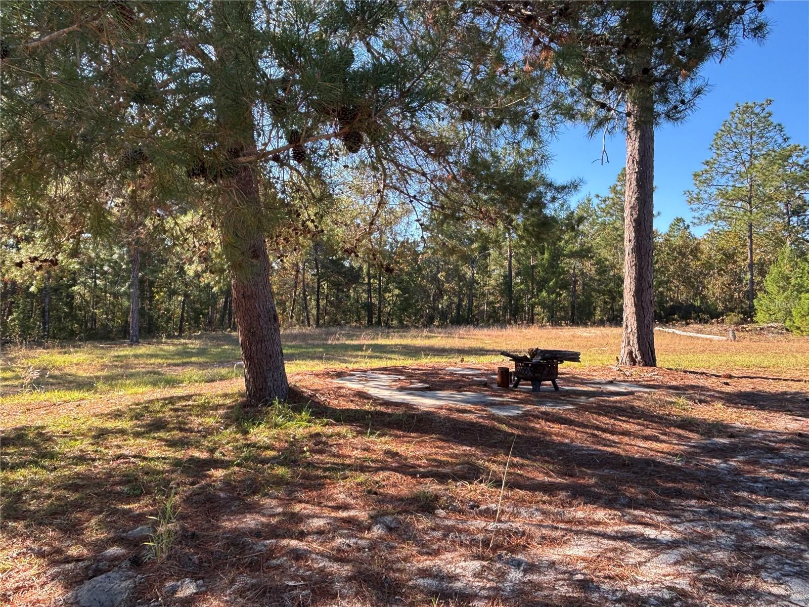 255 MELROSE LANDING BLVD, HAWTHORNE, FL, 32640