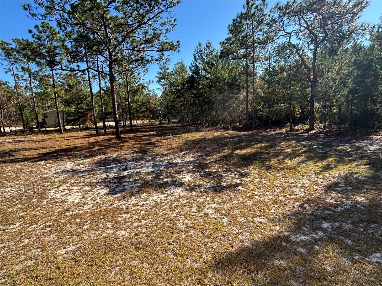 255 MELROSE LANDING BLVD, HAWTHORNE, FL, 32640