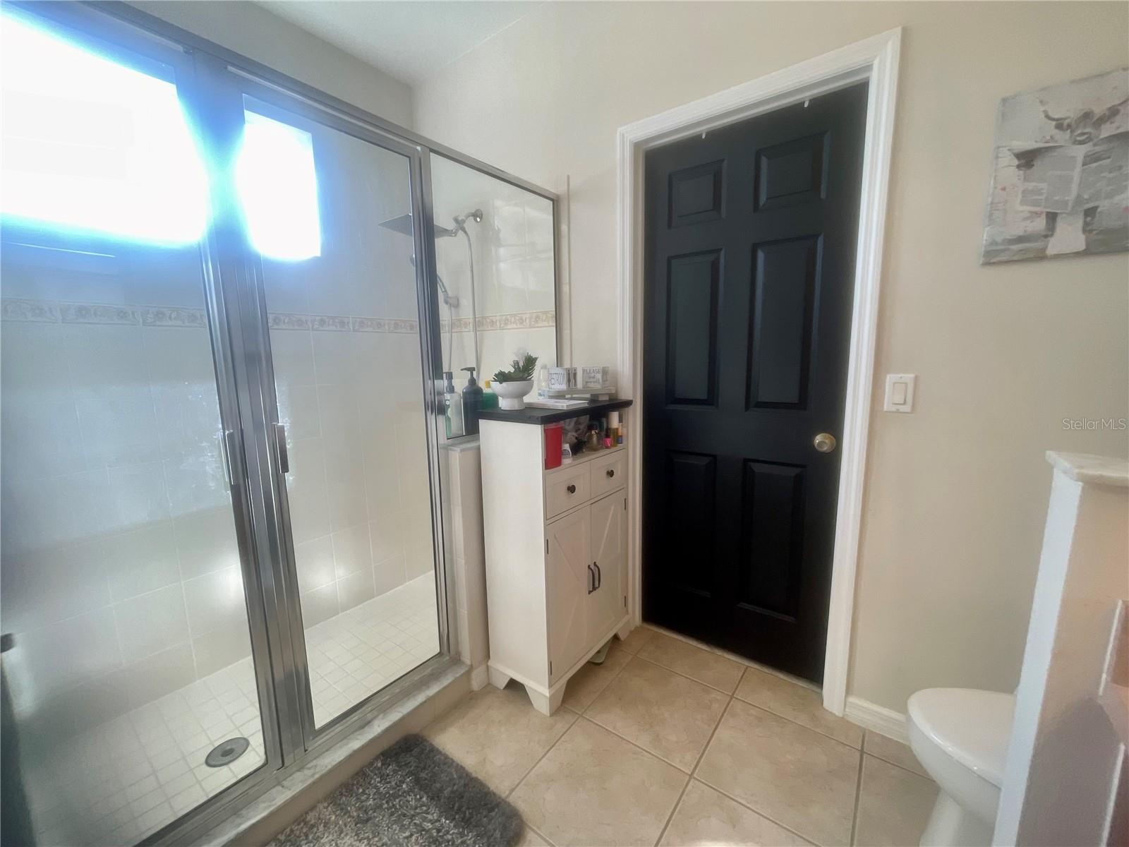 25227 CHIPSHOT CT, SORRENTO, FL, 32776