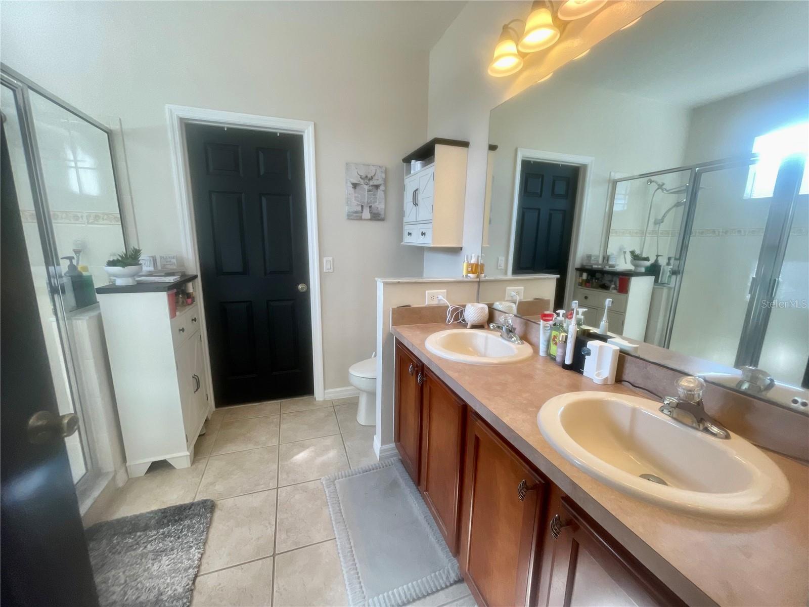 25227 CHIPSHOT CT, SORRENTO, FL, 32776