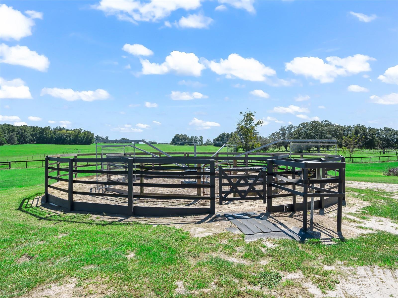 15600 SE 47TH AVE, OCALA, FL, 34481