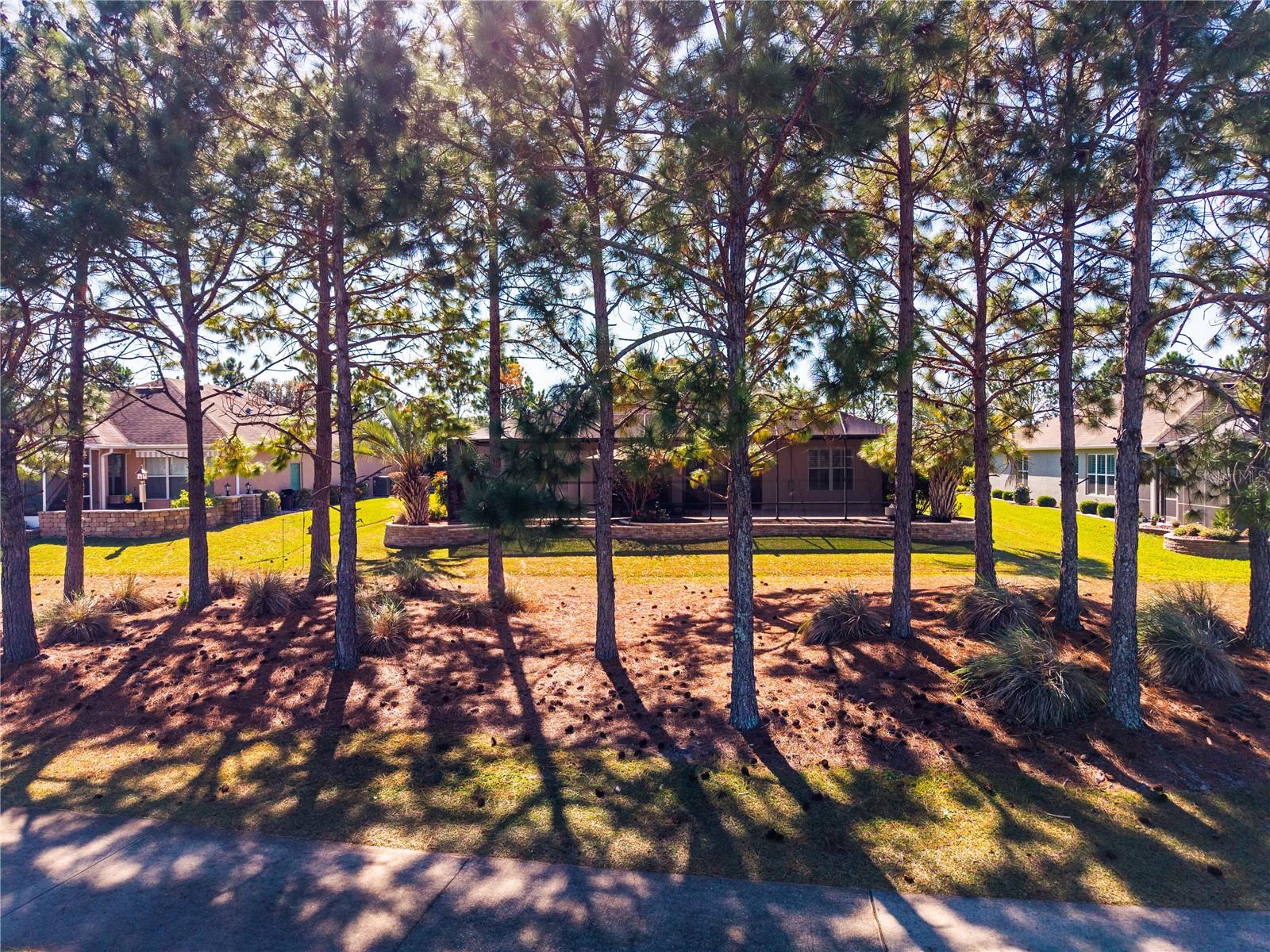 7527 SW 97TH TERRACE RD, OCALA, FL, 34481