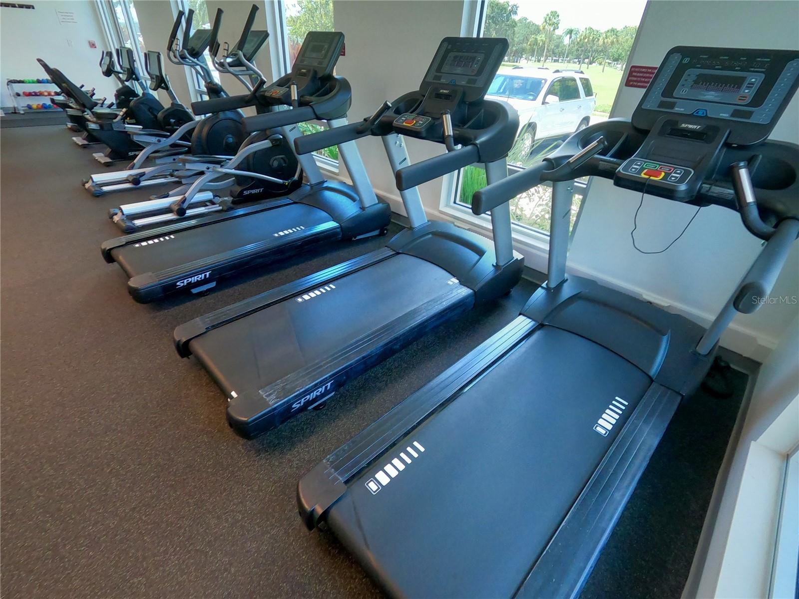 1100 BELCHER RD S #604, LARGO, FL, 33771