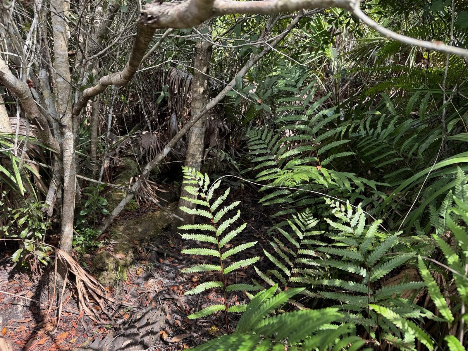 4545 56TH AVE NE, NAPLES, FL, 34120