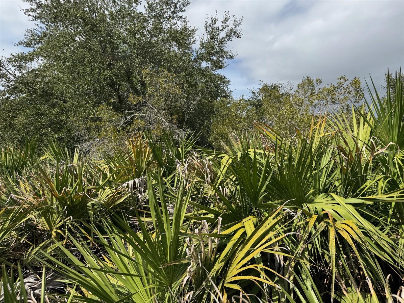 4545 56TH AVE NE, NAPLES, FL, 34120