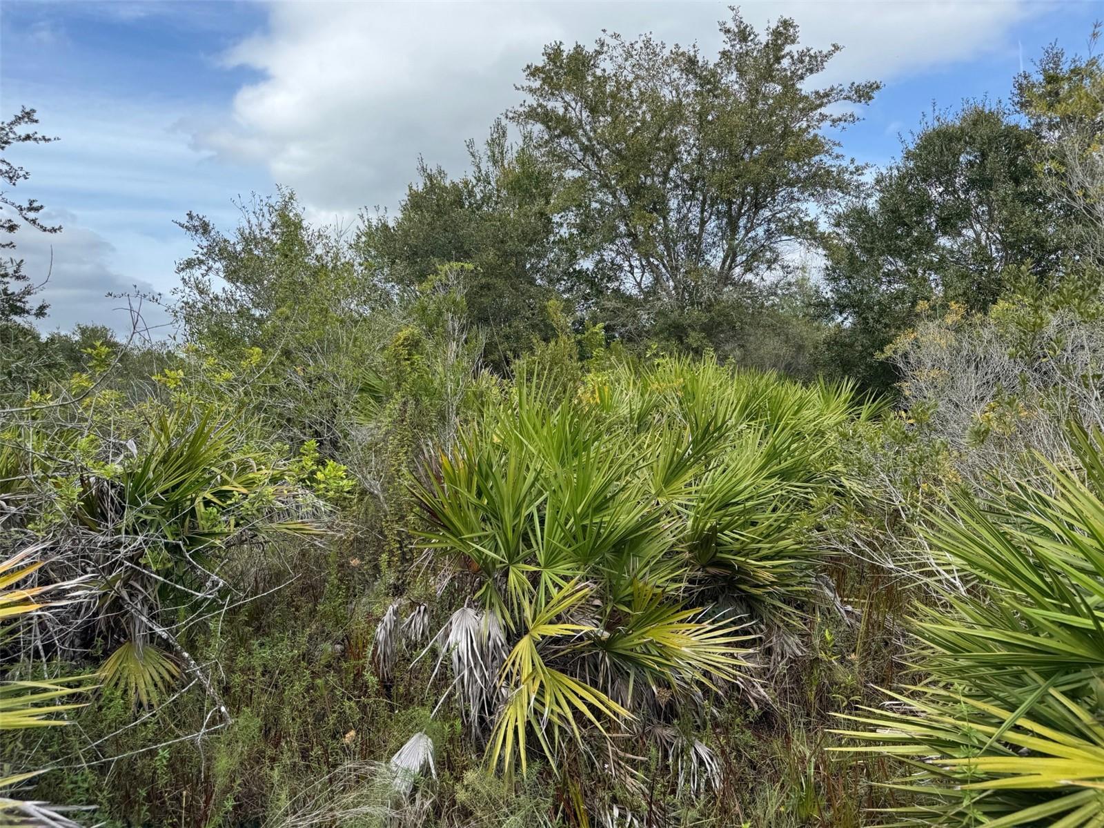 4545 56TH AVE NE, NAPLES, FL, 34120