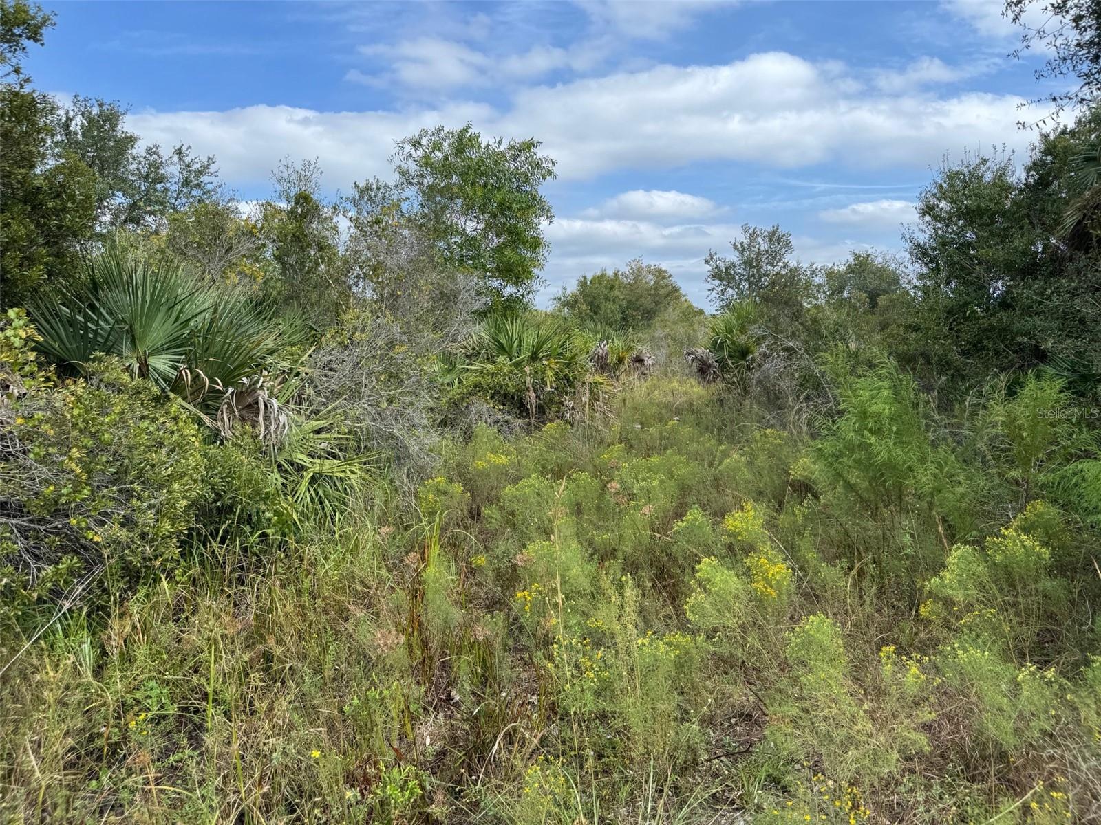 4545 56TH AVE NE, NAPLES, FL, 34120