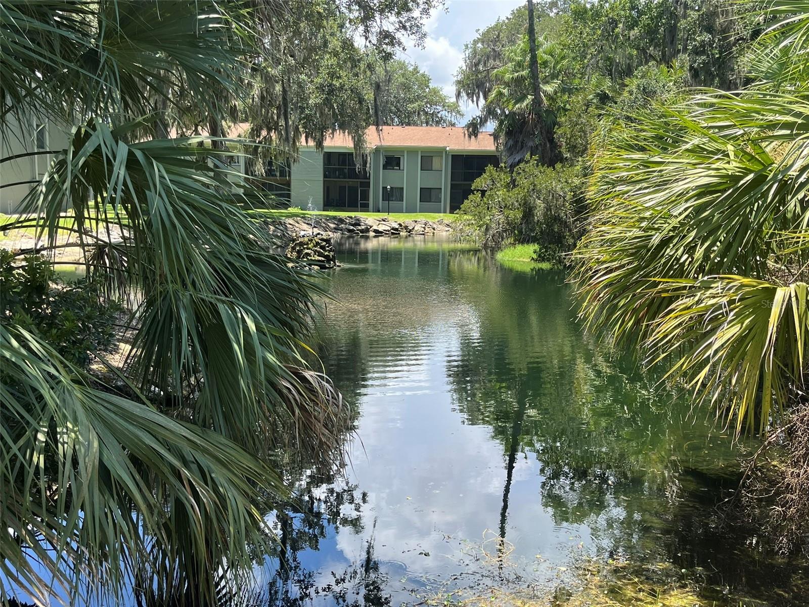 308 PALM COAST PKWY NE #203, PALM COAST, FL, 32137