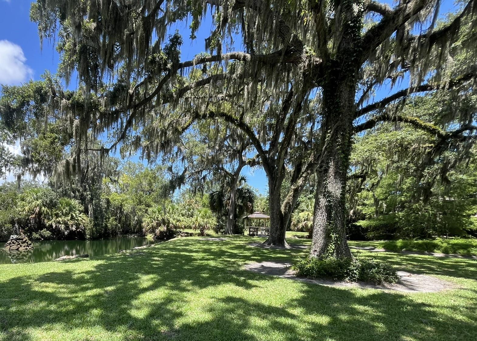 308 PALM COAST PKWY NE #203, PALM COAST, FL, 32137