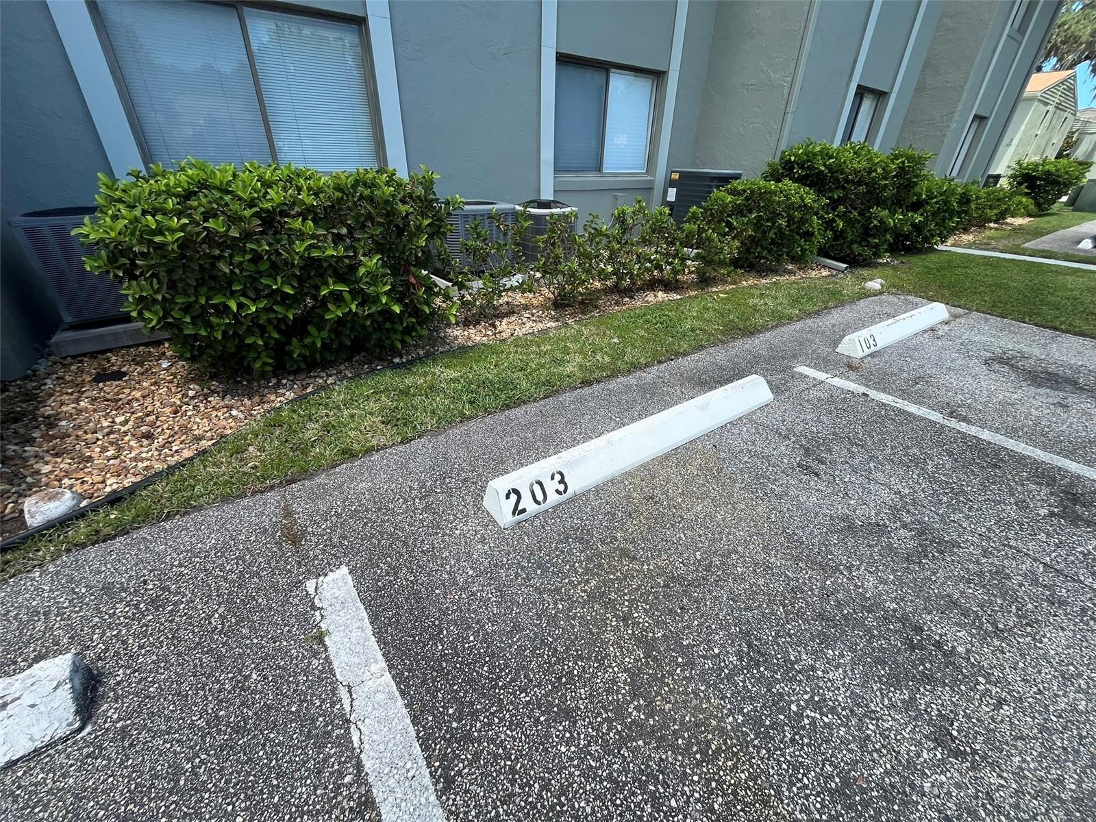 308 PALM COAST PKWY NE #203, PALM COAST, FL, 32137