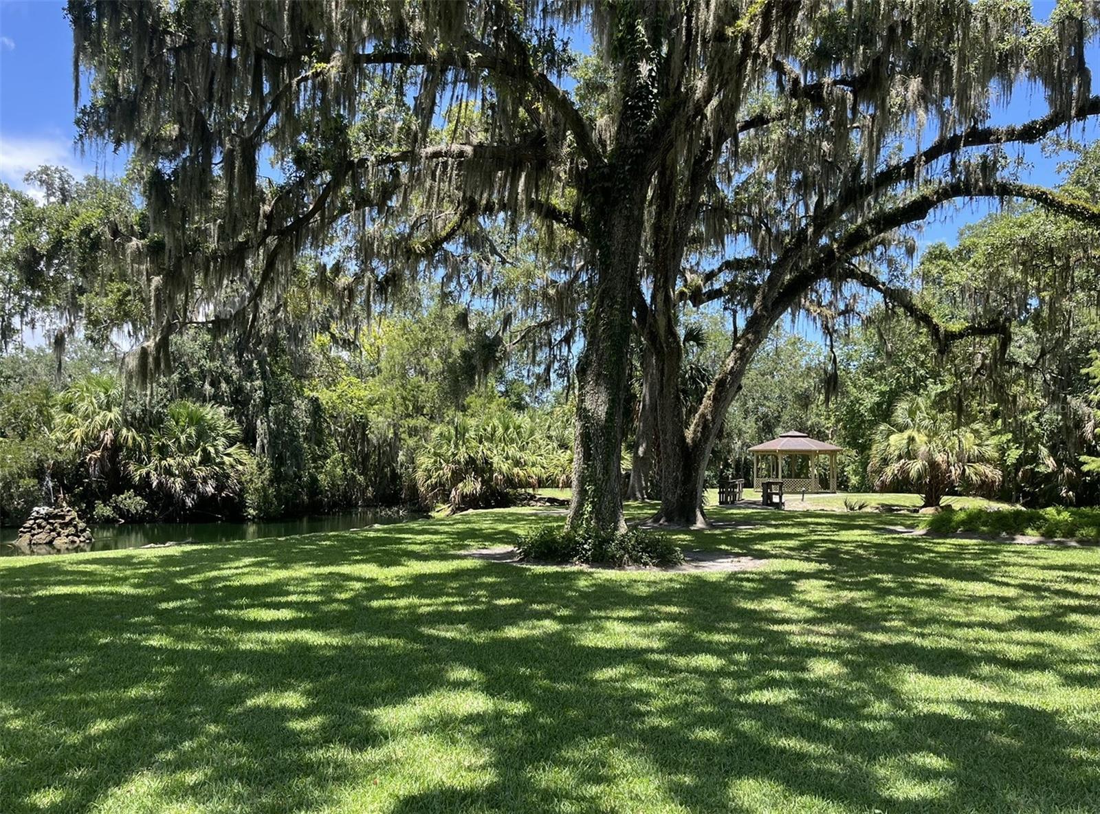 308 PALM COAST PKWY NE #203, PALM COAST, FL, 32137