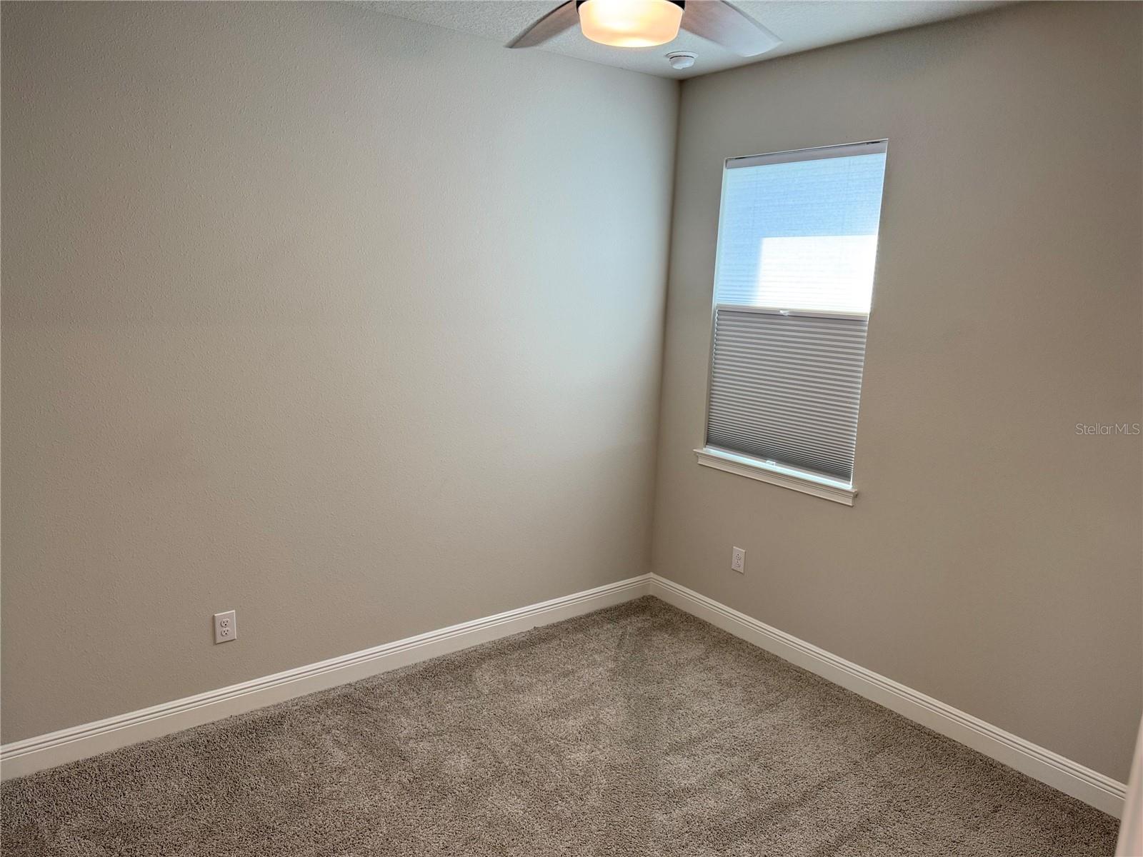 31969 ASBURY AVE, WESLEY CHAPEL, FL, 33545