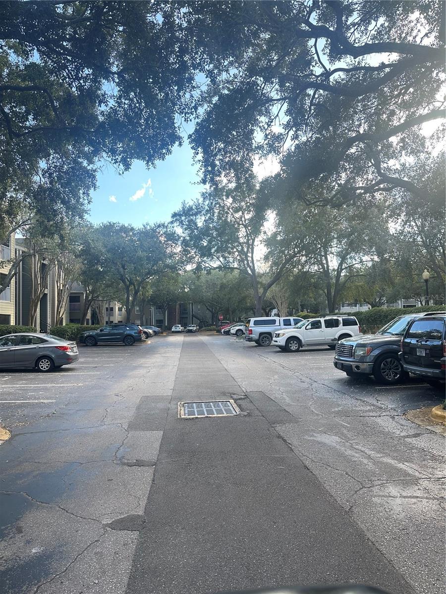 5040 PARK CENTRAL DR #2011, ORLANDO, FL, 32839