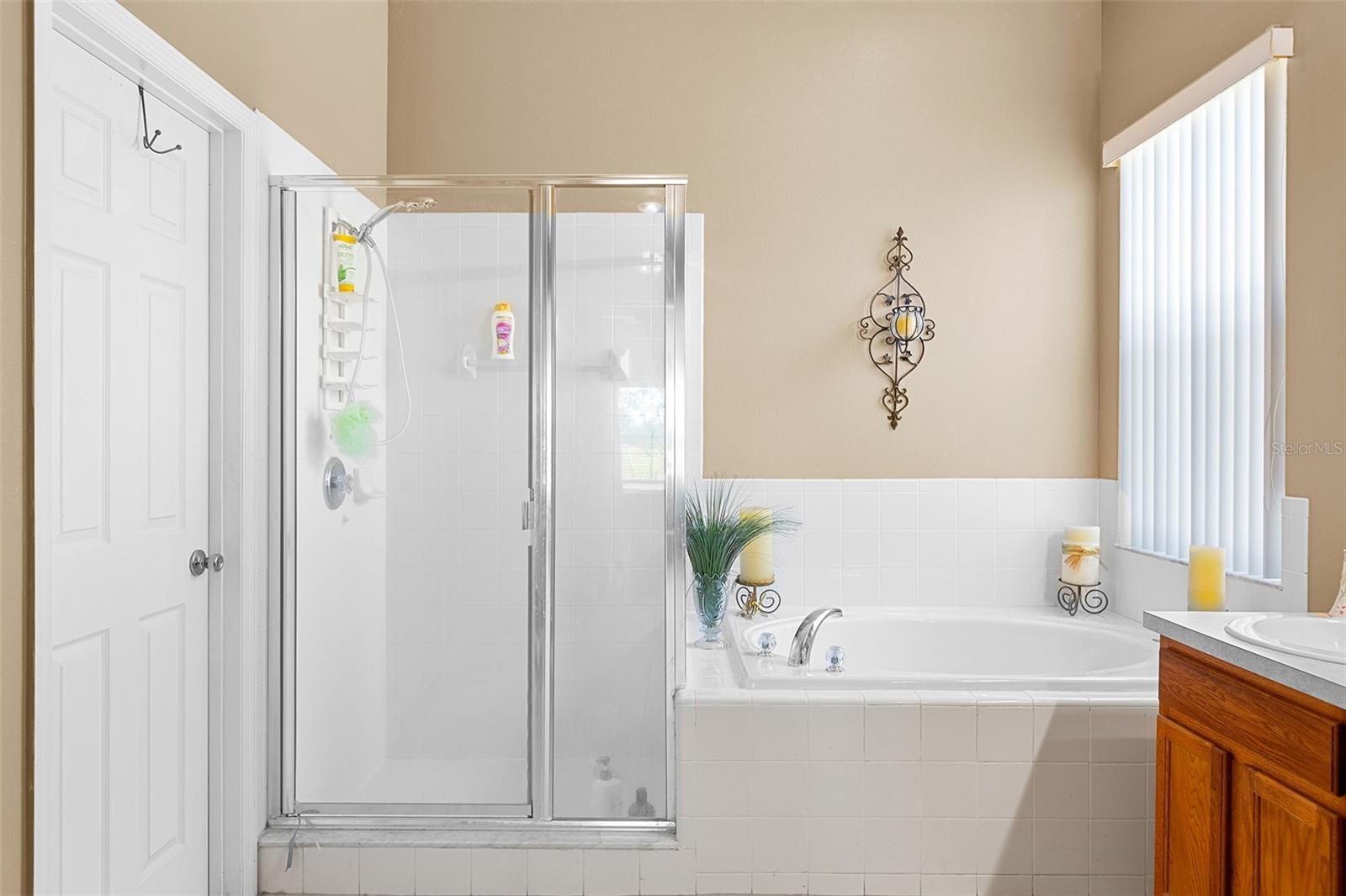 2327 ANDREWS VALLEY DR, KISSIMMEE, FL, 34758