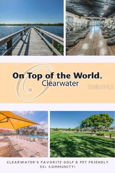 2435 SUMATRAN WAY #35, CLEARWATER, FL, 33763