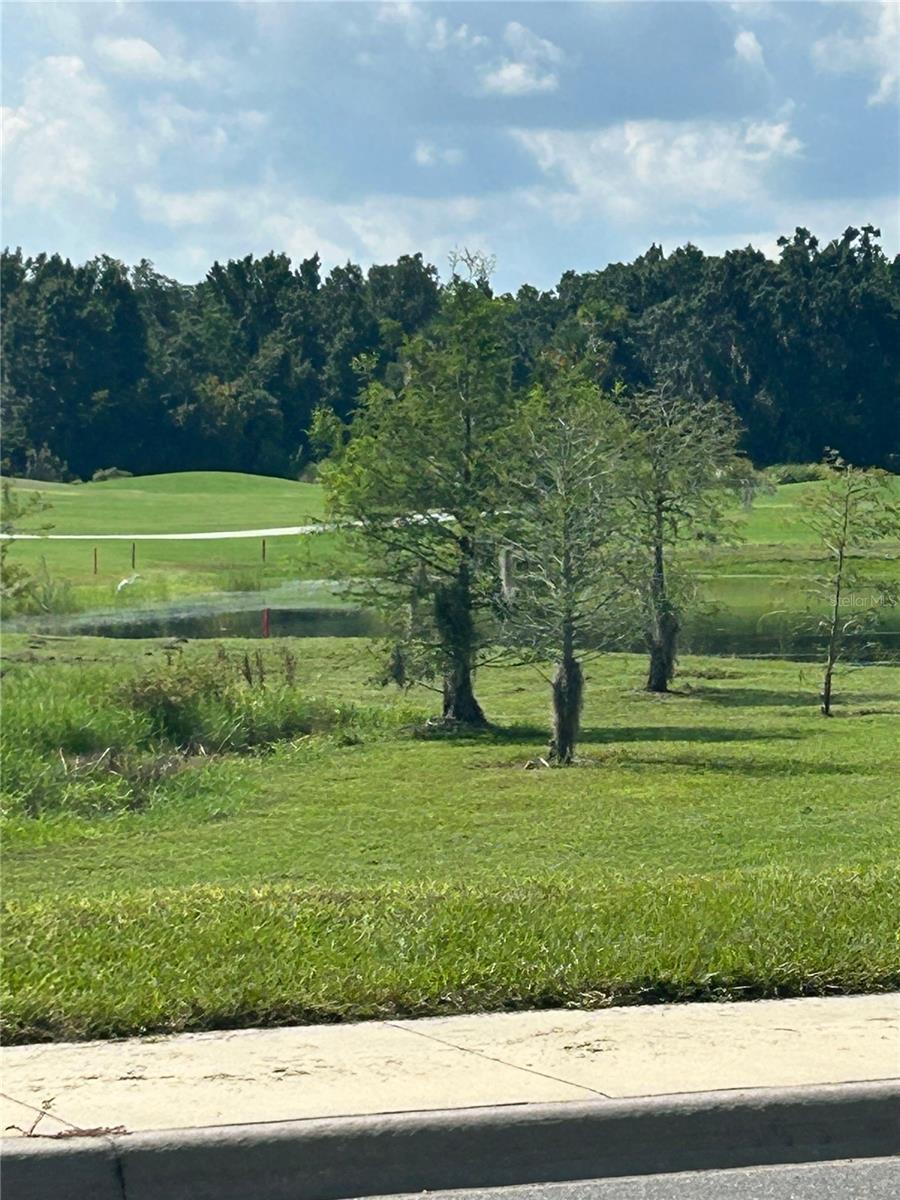 5617 STRICKLIN ST, THE VILLAGES, FL, 32163