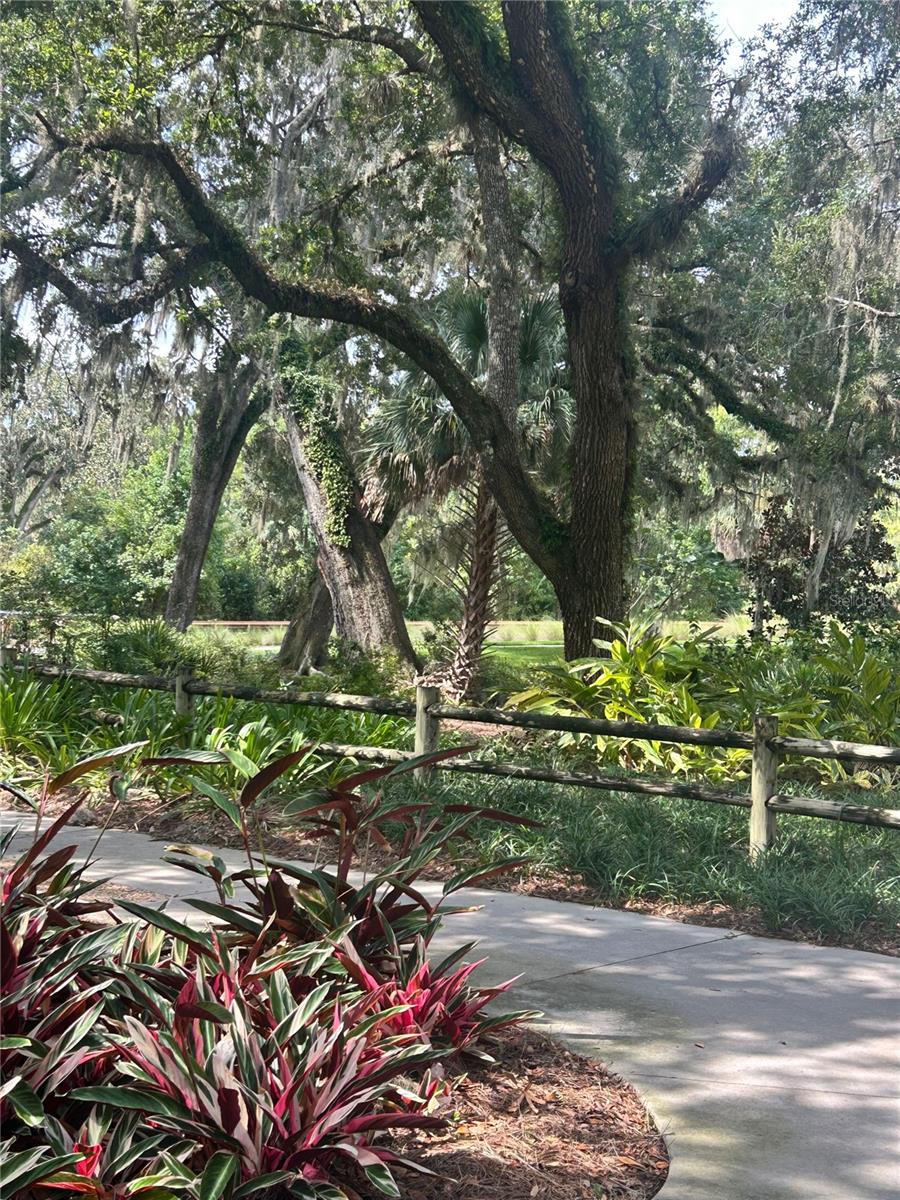 5617 STRICKLIN ST, THE VILLAGES, FL, 32163