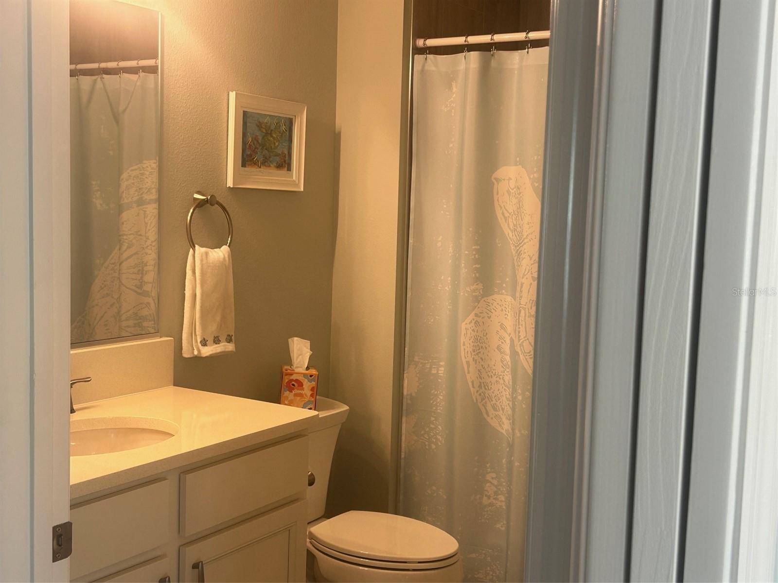 5617 STRICKLIN ST, THE VILLAGES, FL, 32163