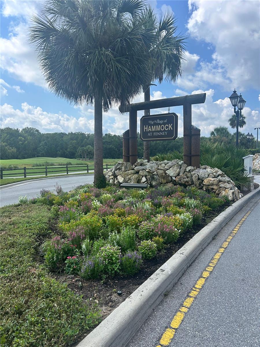 5617 STRICKLIN ST, THE VILLAGES, FL, 32163