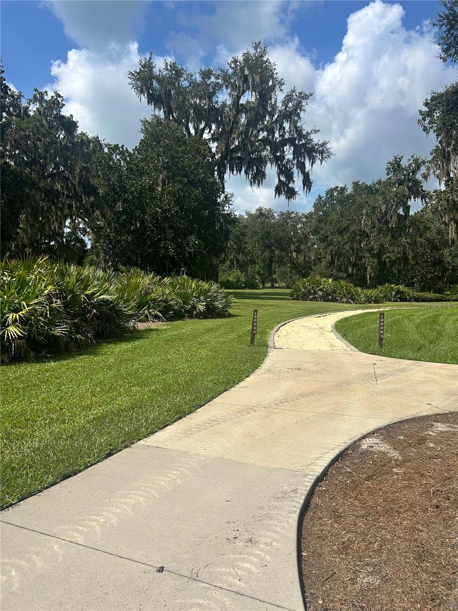 5617 STRICKLIN ST, THE VILLAGES, FL, 32163