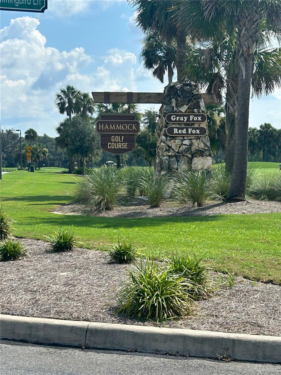 5617 STRICKLIN ST, THE VILLAGES, FL, 32163