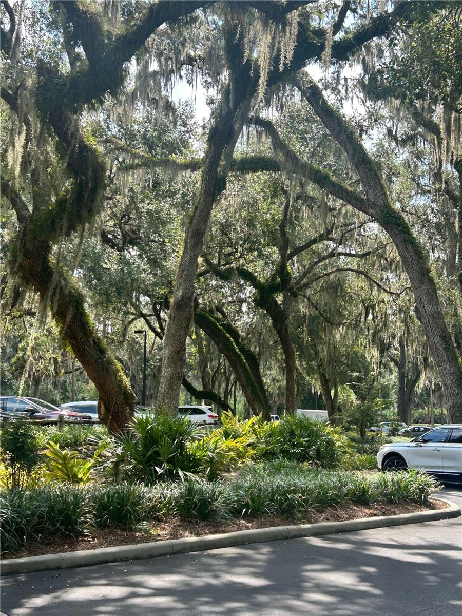 5617 STRICKLIN ST, THE VILLAGES, FL, 32163