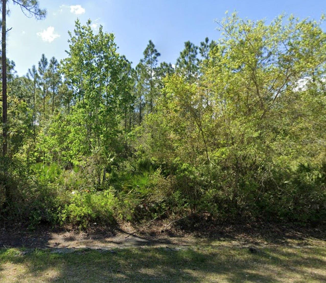 CANDLEBERRY ST, BUNNELL, FL, 32110