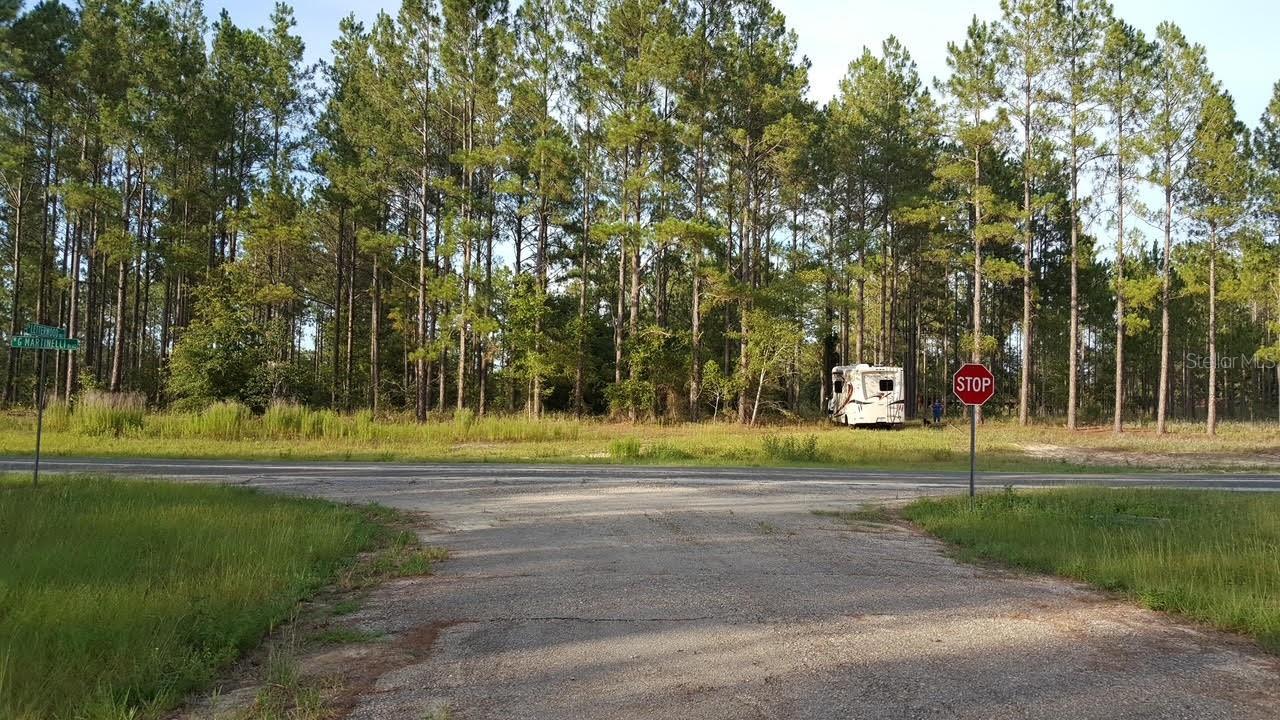 1611 W G MARTINELLI BLVD, CITRUS SPRINGS, FL, 34434