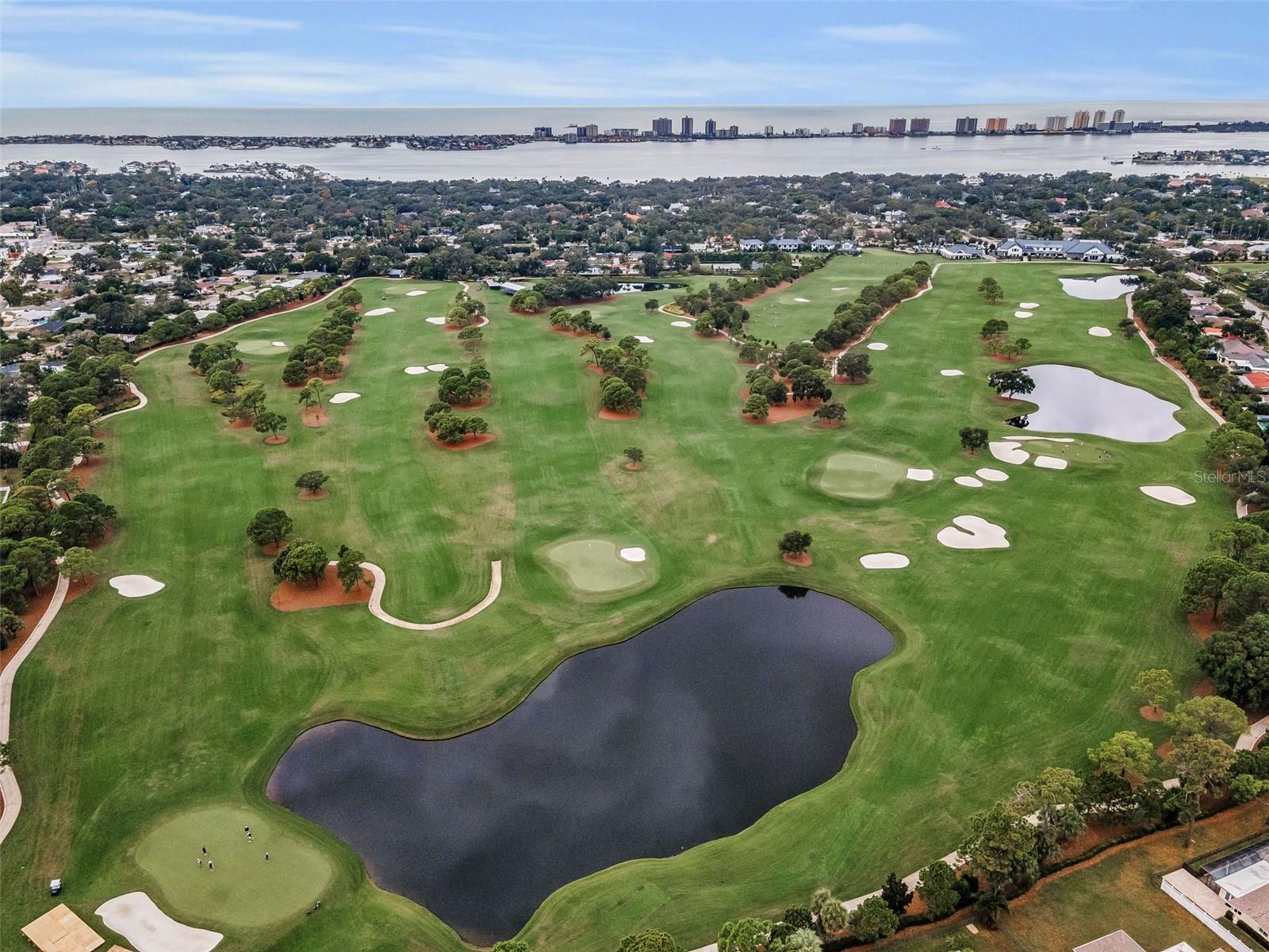 1750 BELLEAIR FOREST DR #A7, BELLEAIR, FL, 33756