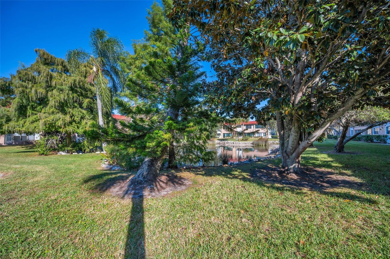 1750 BELLEAIR FOREST DR #A7, BELLEAIR, FL, 33756