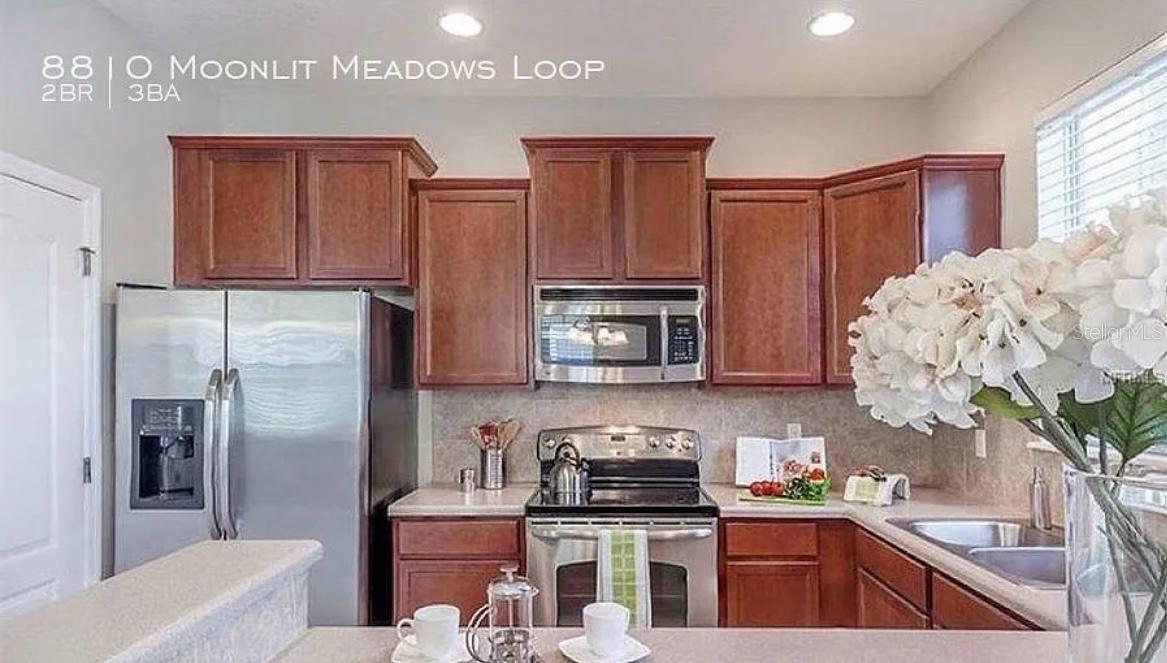 8810 MOONLIT MEADOWS LOOP, RIVERVIEW, FL, 33578