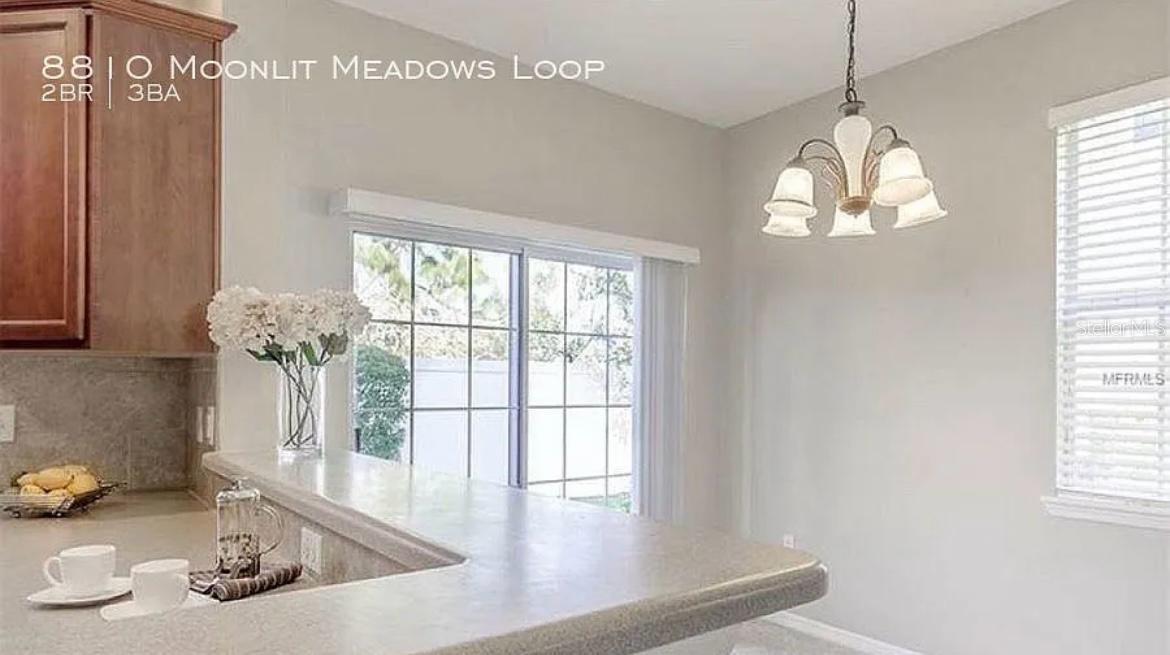 8810 MOONLIT MEADOWS LOOP, RIVERVIEW, FL, 33578
