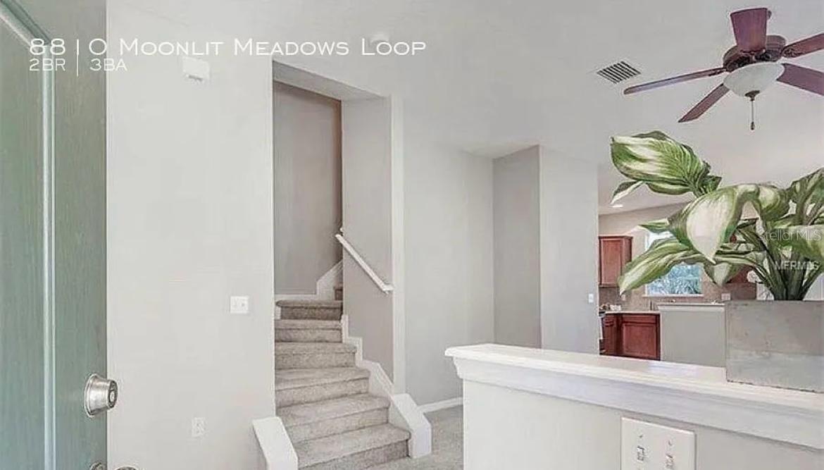 8810 MOONLIT MEADOWS LOOP, RIVERVIEW, FL, 33578