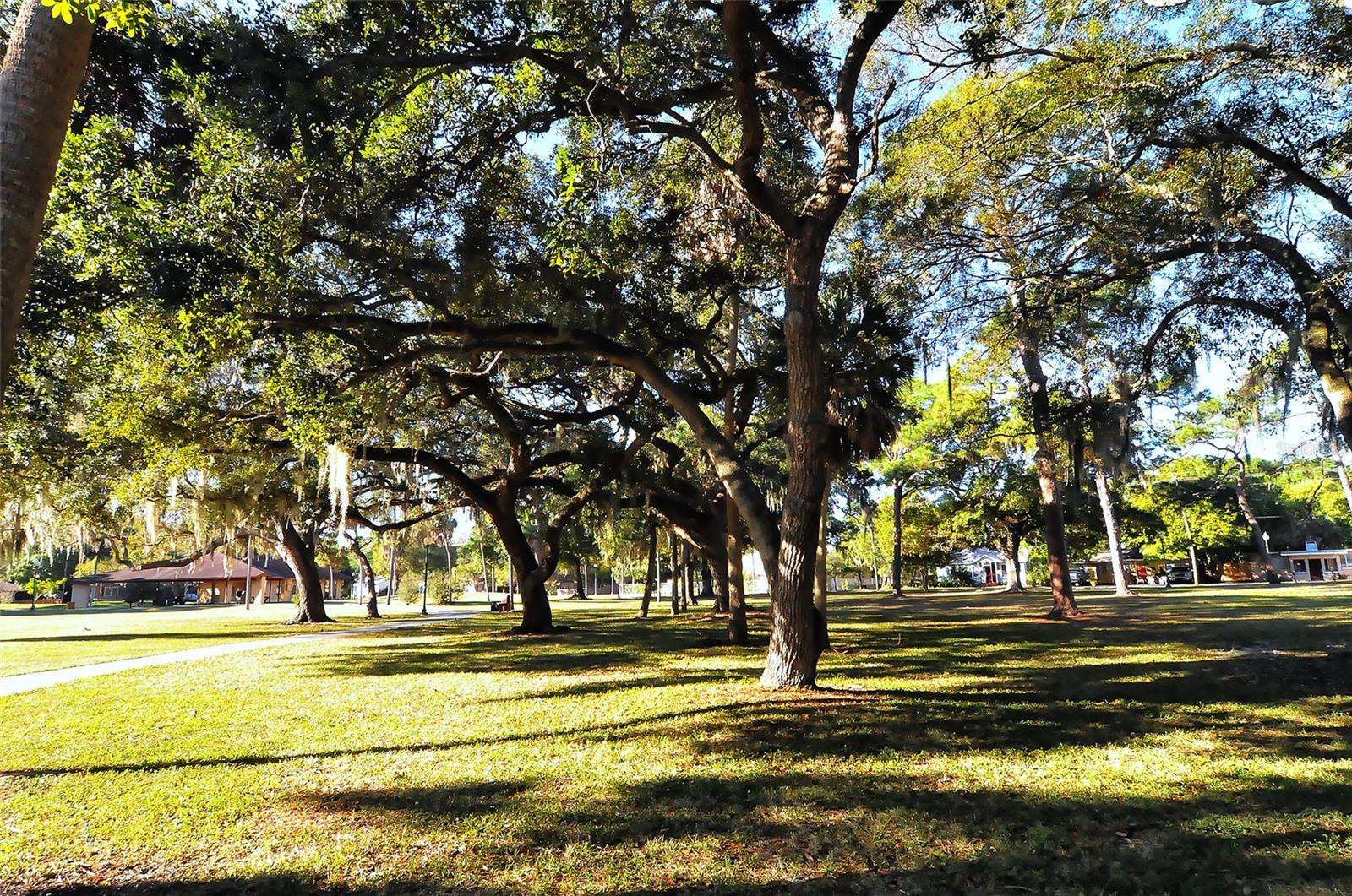 640 N OSPREY AVE, SARASOTA, FL, 34236