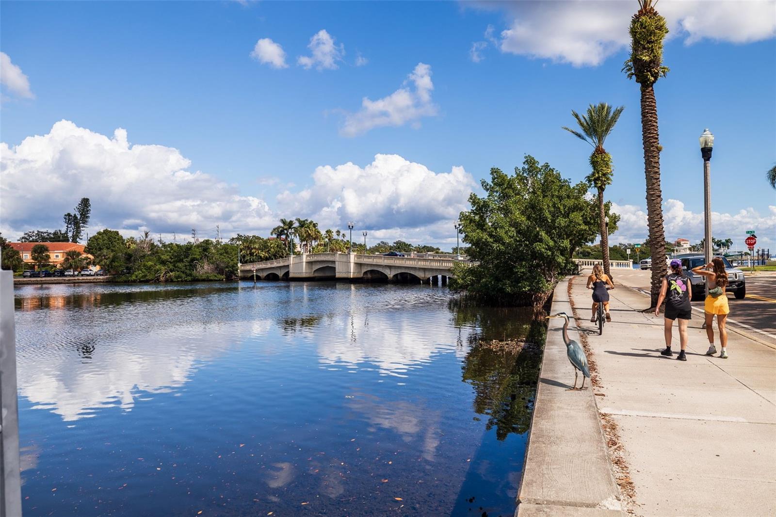 176 25TH AVE N, ST PETERSBURG, FL, 33704