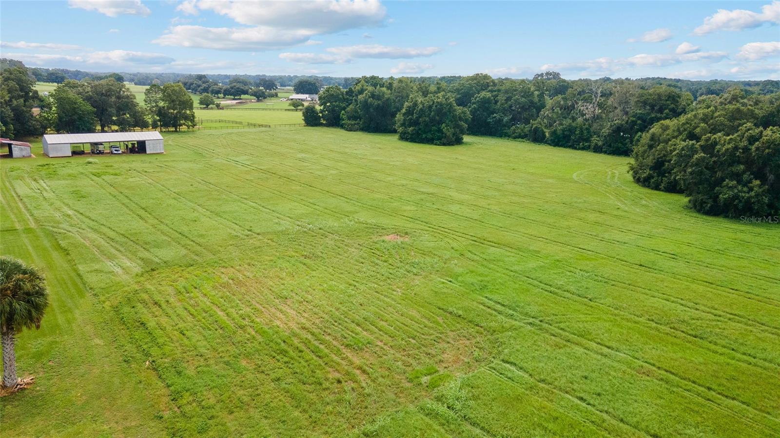 17176 N US HIGHWAY 441, REDDICK, FL, 32686