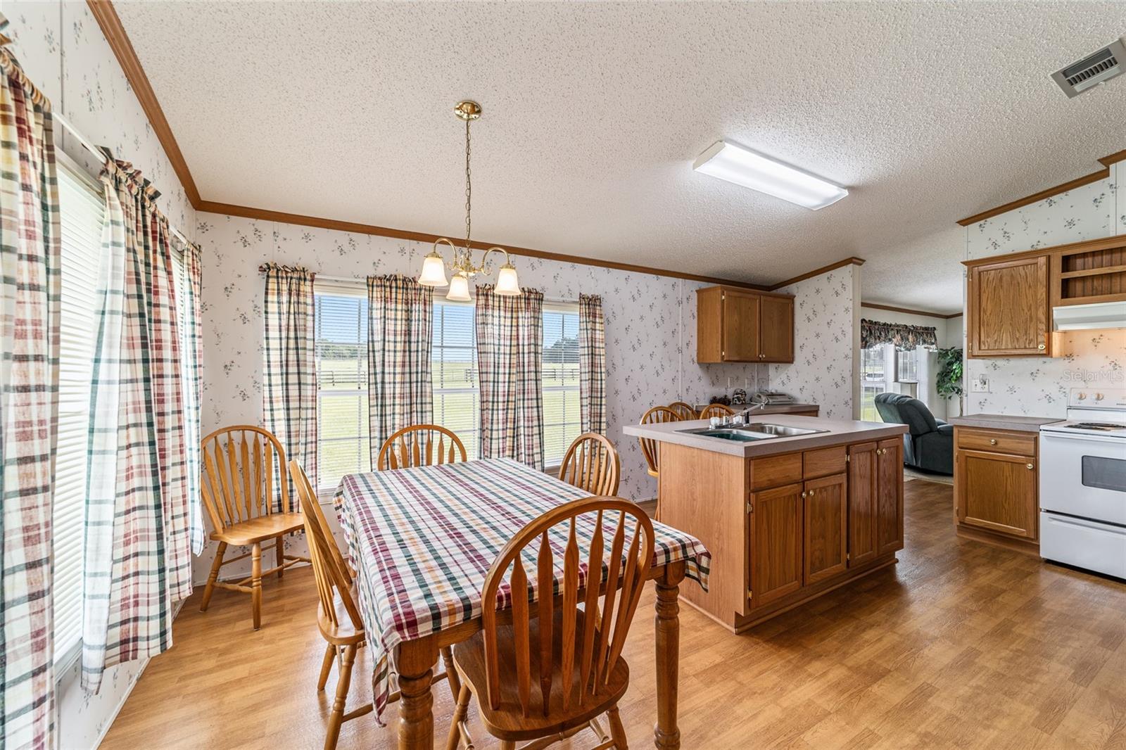 17176 N US HIGHWAY 441, REDDICK, FL, 32686