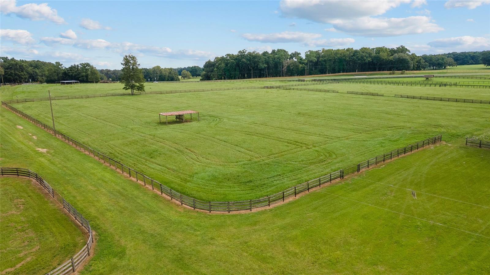 17176 N US HIGHWAY 441, REDDICK, FL, 32686