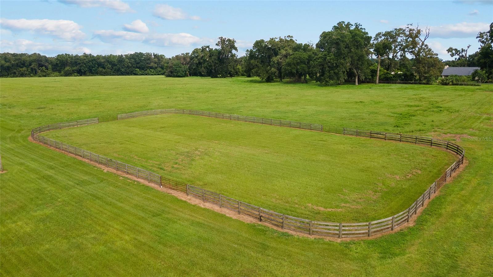 17176 N US HIGHWAY 441, REDDICK, FL, 32686