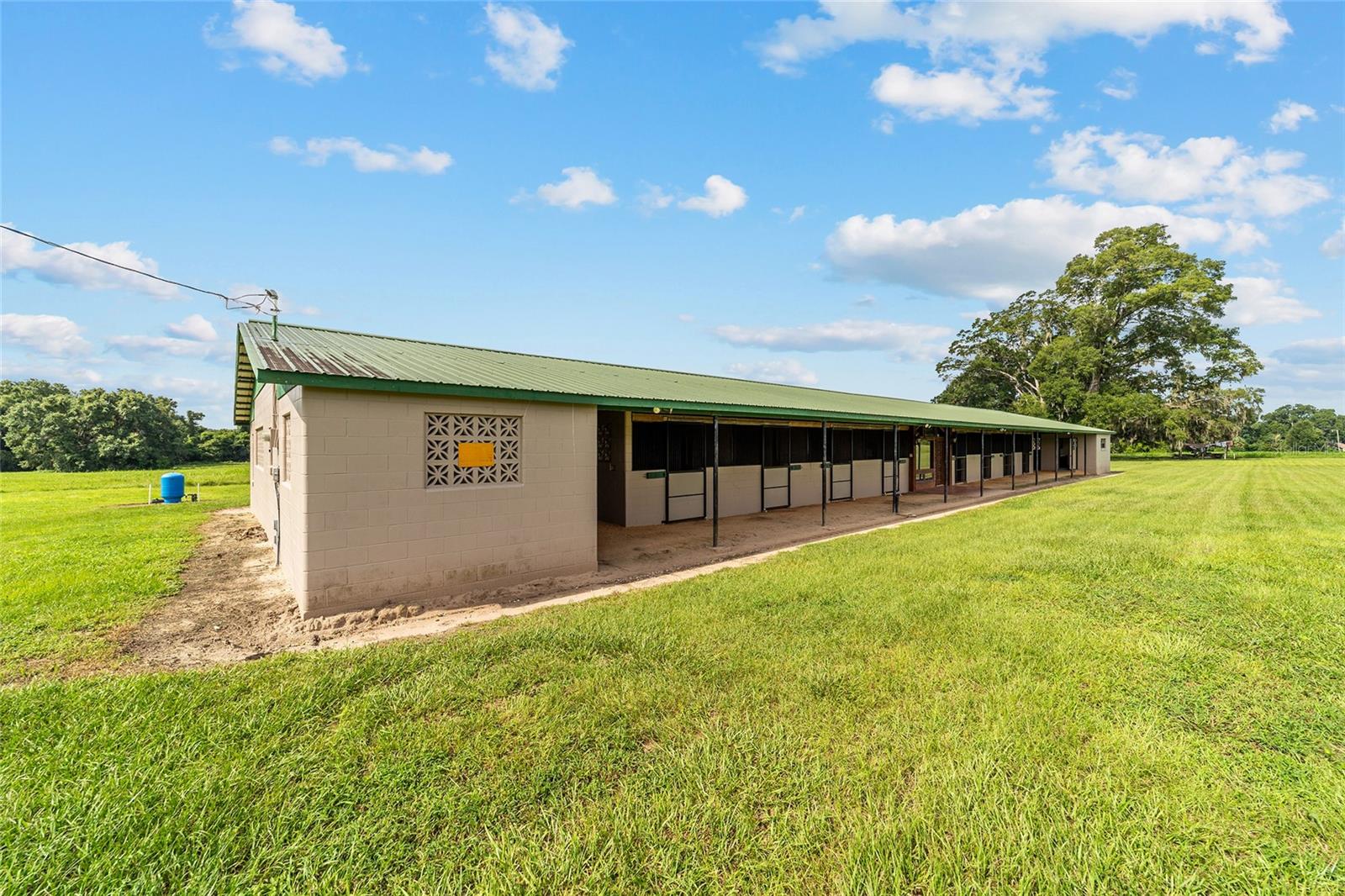 17176 N US HIGHWAY 441, REDDICK, FL, 32686