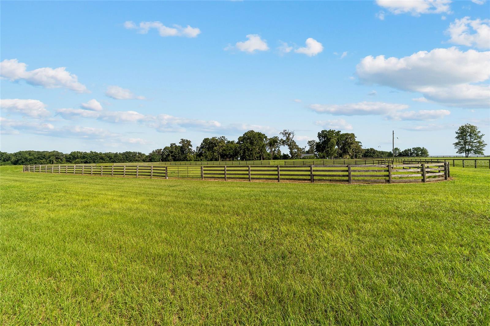 17176 N US HIGHWAY 441, REDDICK, FL, 32686