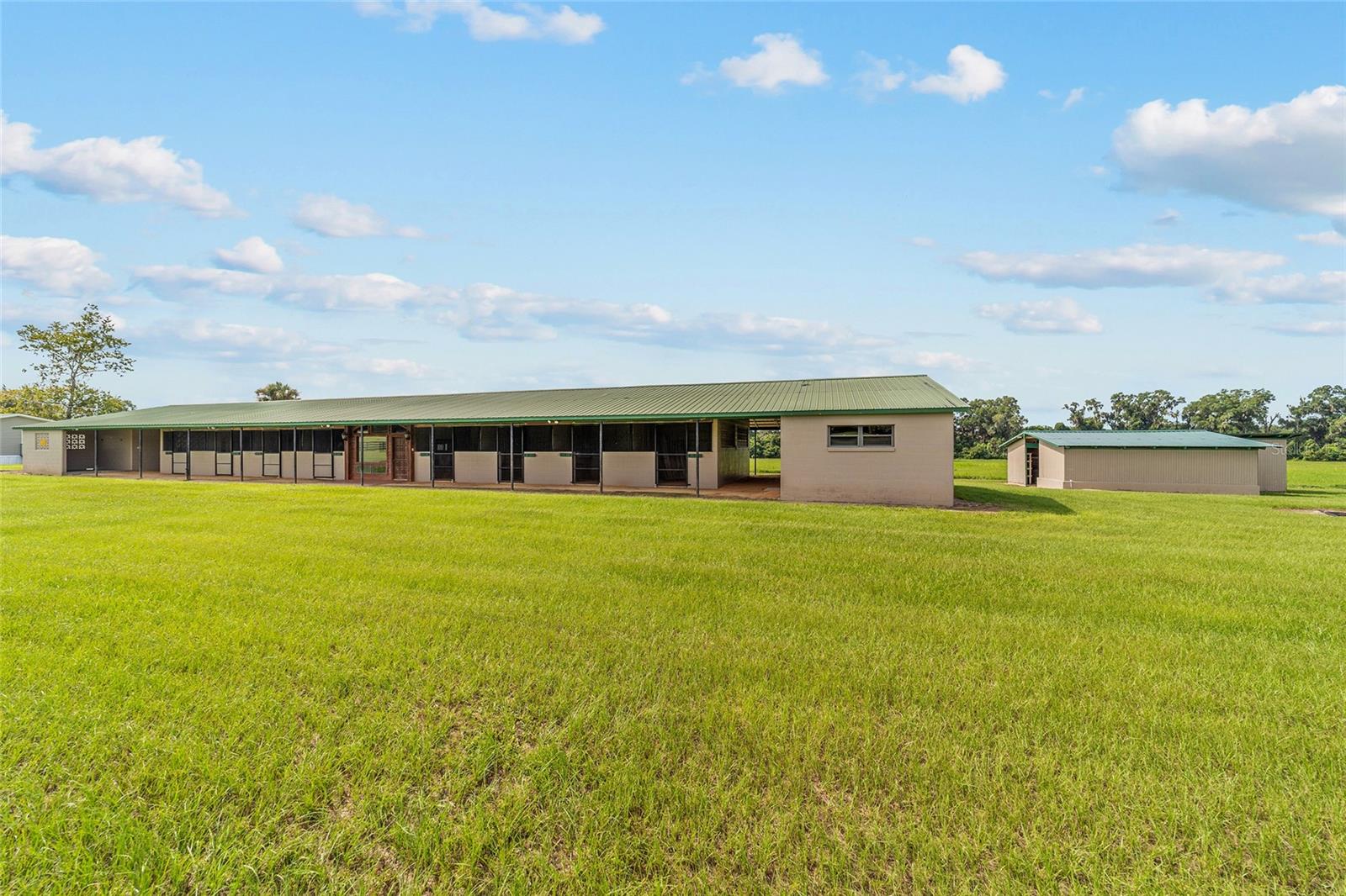 17176 N US HIGHWAY 441, REDDICK, FL, 32686