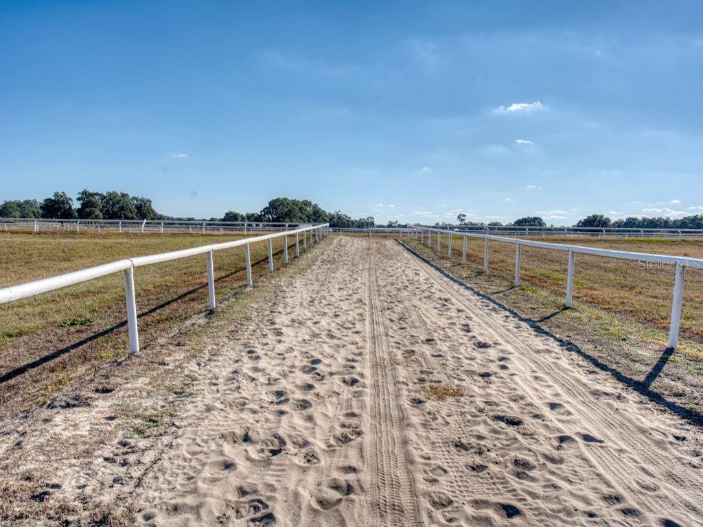 1345 NE 155 PLACE, CITRA, FL, 32113