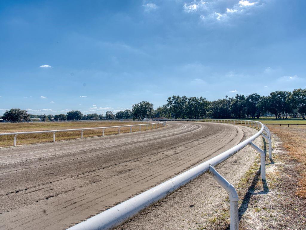 1345 NE 155 PLACE, CITRA, FL, 32113