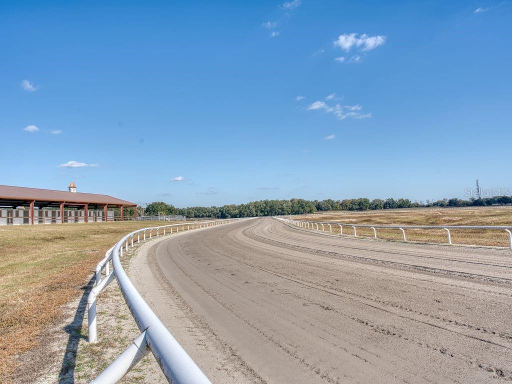 1345 NE 155 PLACE, CITRA, FL, 32113