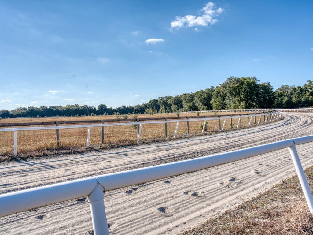 1345 NE 155 PLACE, CITRA, FL, 32113